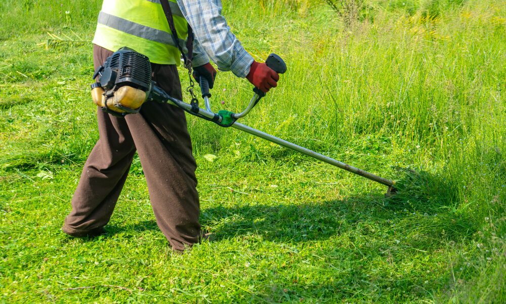 草刈り・雑草対策