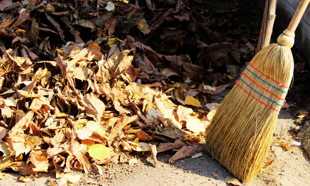 落ち葉回収