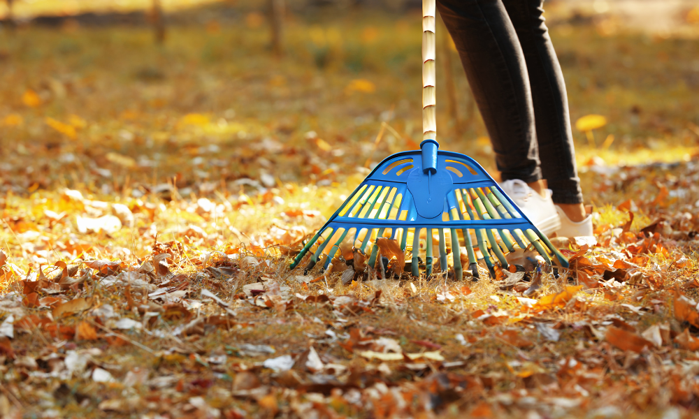 落ち葉回収・外回り清掃